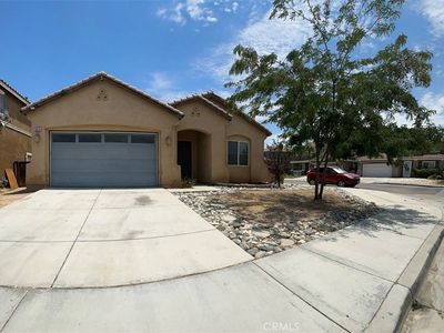 9019 Fremont Ct
