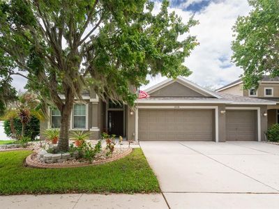 10133 Caraway Spice Ave