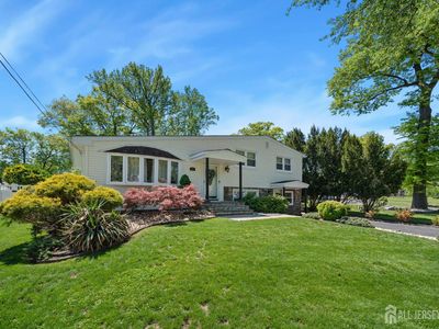 88 Montrose Ave
