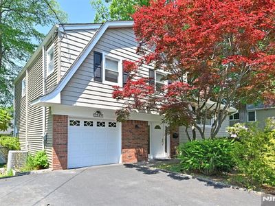 15 Carter St