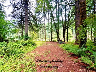 Property at 9965 Beach Dr, Birkenfeld, OR