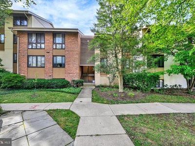 7 Hamill Rd #7F