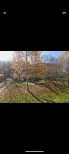 Property at 4091 Chapman Rd, Max Meadows, VA