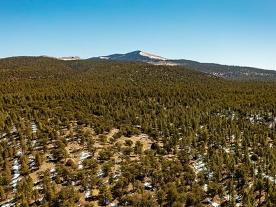 0 Forest Service Rd #450
