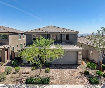 354 American Dipper St