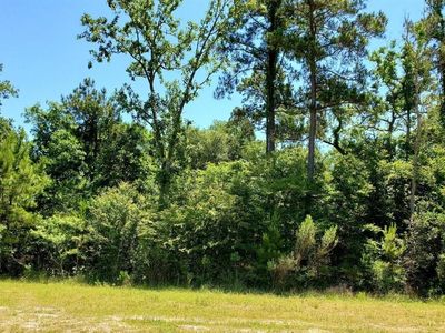 141 Kings Lake Estates Blvd