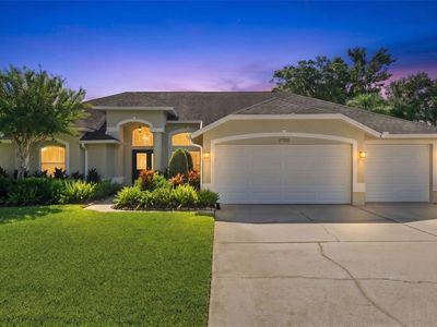Property at 17322 HUBERS COURT, Odessa, FL