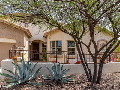 17359 S Azure Sky Trl