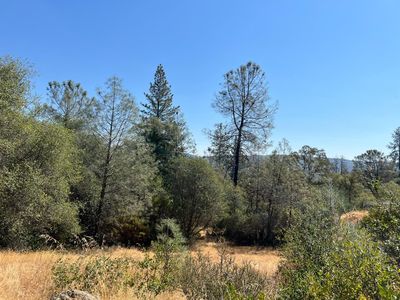 Property at 18144 Piper Ln, Penn Valley, CA