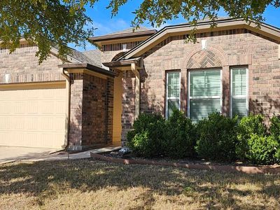8307 White Mulberry
