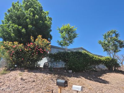 385 Hackberry Dr