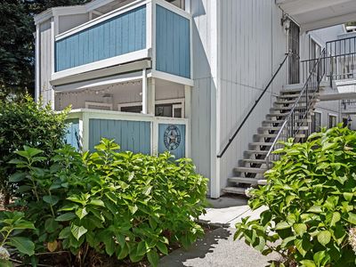 151 Del Verde Cir APT 3