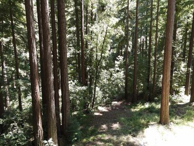 305 McGaffigan Mill Rd #1