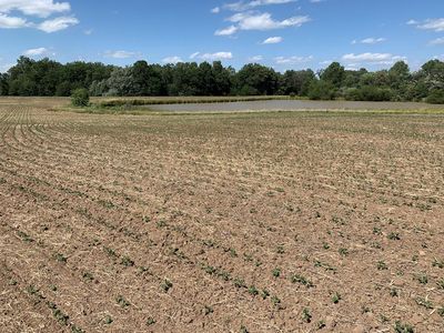 Property at TRACT 14 Highway 24, Madison, MO