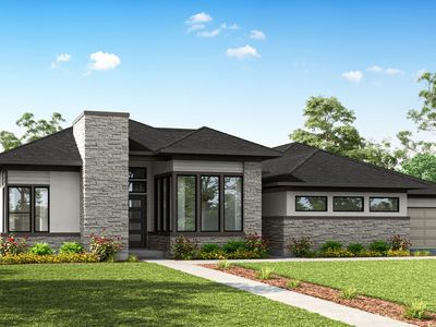 11003 Green Marbling Dr