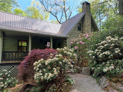 100 Tulip Lane