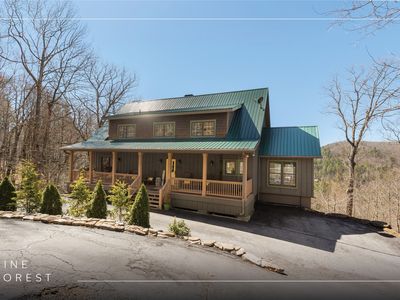 569 Pine Forest Road