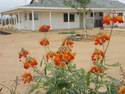Property at 62323 Mars Ave, Joshua Tree, CA
