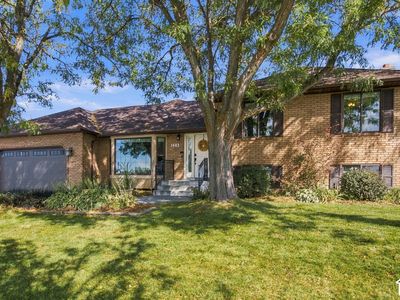 1443 E Hilda Dr