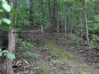 Property at 198 Hill Cemetery Ln, Natural Bridge Station, VA