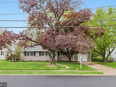 31 Gainsboro Rd