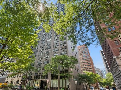 253 E Delaware Pl APT 7H