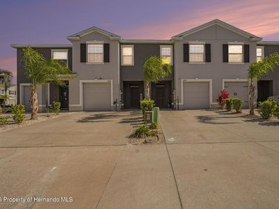 Property at 16180 Glowing Grove Ave, Odessa, FL
