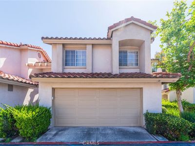 38 Carnation
