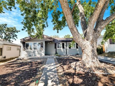 85 S Winona Court