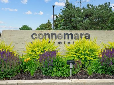 2455 Londin Ln E APT 115