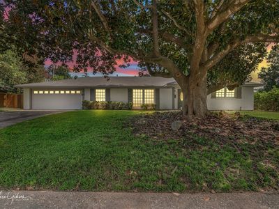 242 Dogwood Rd