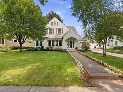 446 Pine Tree ROAD