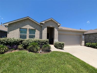 20819 Olive Leaf St