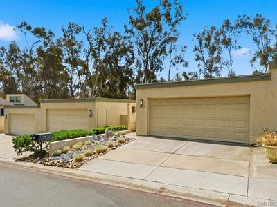 10217 Caminito Covewood