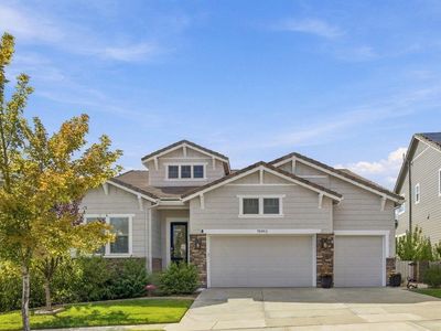 15993 Swan Mountain Dr
