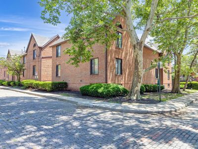 273 Lear St #6