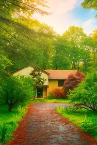 50 Hunczak Boulevard