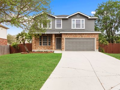 337 Willow