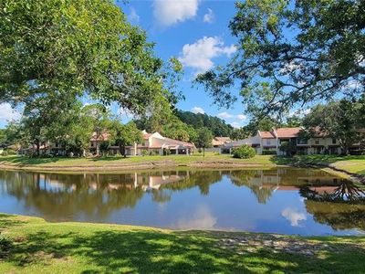 3505 Tarpon Woods Blvd APT P408