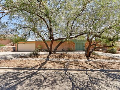 224 Northwind Dr