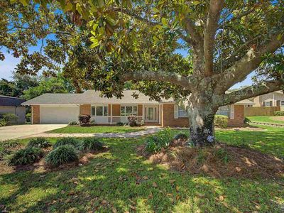 204 Nandina Rd