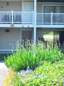 24 Old Colony Way APT 19