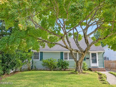 9 McCarter Avenue