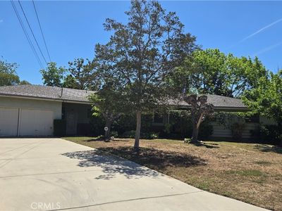 11817 Peach Tree Cir