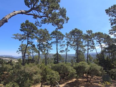 154 Del Mesa Carmel