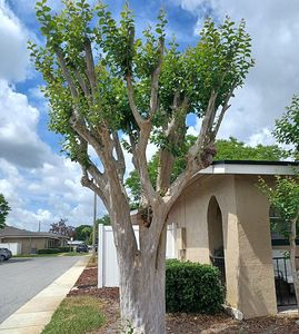 530 Cascade Cir APT 100