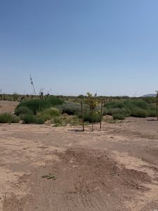 Property at 9945 Majestic View Rd SW, Deming, NM