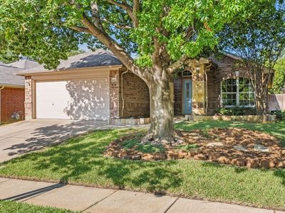 15533 Adlong Dr