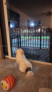 8801 Wiles Rd APT 208