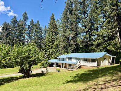816 Curly Jack Rd